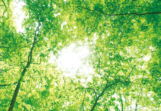 学芸大　学芸大学駅　spacelightwalker　ヒーリング　リーディング　退行催眠　インナーチャイルド　ハイアーセルフ　パワーストーン　アロマタッチ　NEO ネオ　neo