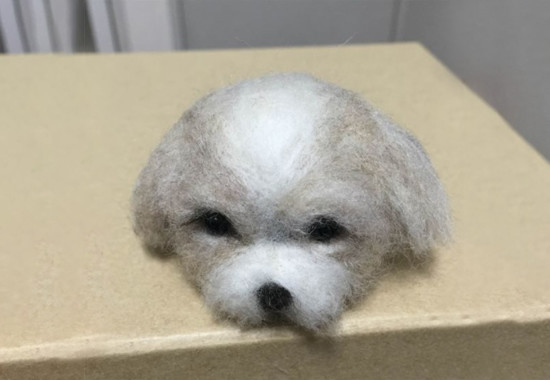 学学芸大　学芸大学駅　spacelightwalker　ヒーリング　リーディング　退行催眠　インナーチャイルド　ハイアーセルフ　パワーストーン　アロマタッチ　NEO ネオ　neo