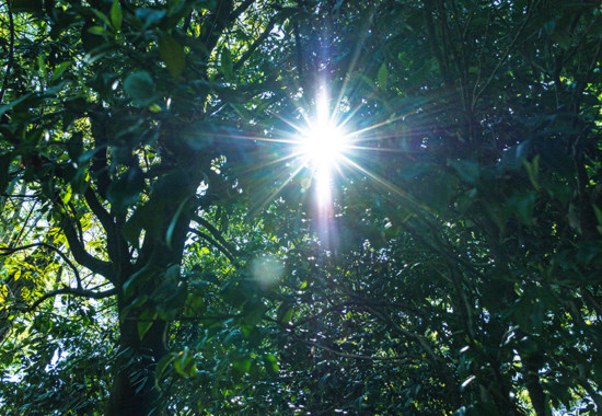 学芸大　学芸大学駅　spacelightwalker　ヒーリング　リーディング　退行催眠　インナーチャイルド　ハイアーセルフ　パワーストーン　アロマタッチ　NEO ネオ　neo