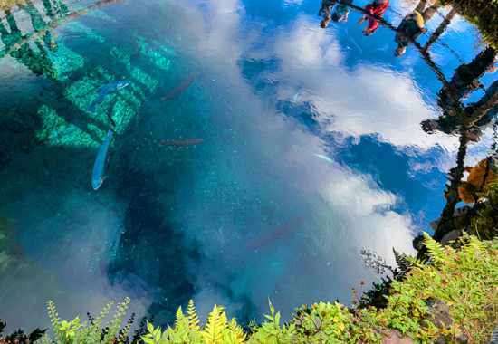 学学芸大学 学芸大 学芸大学駅 spacelightwalker スペースライトウォーカー セッション session NEO ネオ