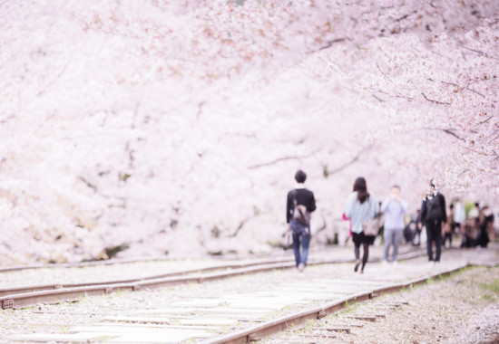 学芸大学 学芸大 学芸大学駅 spacelightwalker スペースライトウォーカー セッション session NEO ネオ