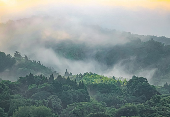 学芸大　学芸大学駅　spacelightwalker　ヒーリング　リーディング　退行催眠　インナーチャイルド　ハイアーセルフ　パワーストーン　アロマタッチ　NEO ネオ　neo