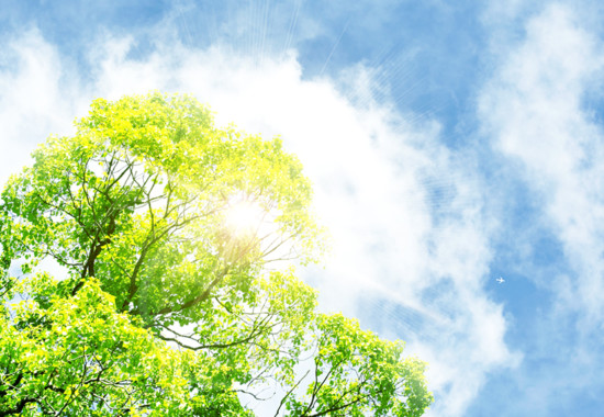 学芸大　学芸大学駅　spacelightwalker　ヒーリング　リーディング　退行催眠　インナーチャイルド　ハイアーセルフ　パワーストーン　アロマタッチ　NEO ネオ　neo