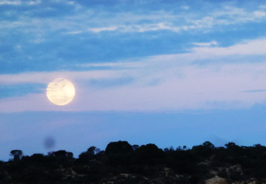 学芸大　学芸大学駅　spacelightwalker　ヒーリング　リーディング　退行催眠　インナーチャイルド　ハイアーセルフ　パワーストーン　アロマタッチ　NEO ネオ　neo