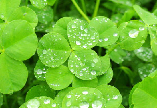 学芸大　学芸大学駅　spacelightwalker　ヒーリング　リーディング　退行催眠　インナーチャイルド　ハイアーセルフ　パワーストーン　アロマタッチ　NEO ネオ　neo