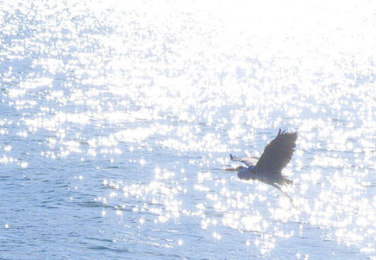 学芸大　学芸大学駅　spacelightwalker　ヒーリング　リーディング　退行催眠　インナーチャイルド　ハイアーセルフ　パワーストーン　アロマタッチ　NEO ネオ　neo