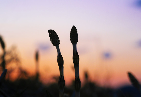 学芸大　学芸大学駅　spacelightwalker　ヒーリング　リーディング　退行催眠　インナーチャイルド　ハイアーセルフ　パワーストーン　アロマタッチ　NEO ネオ　neo